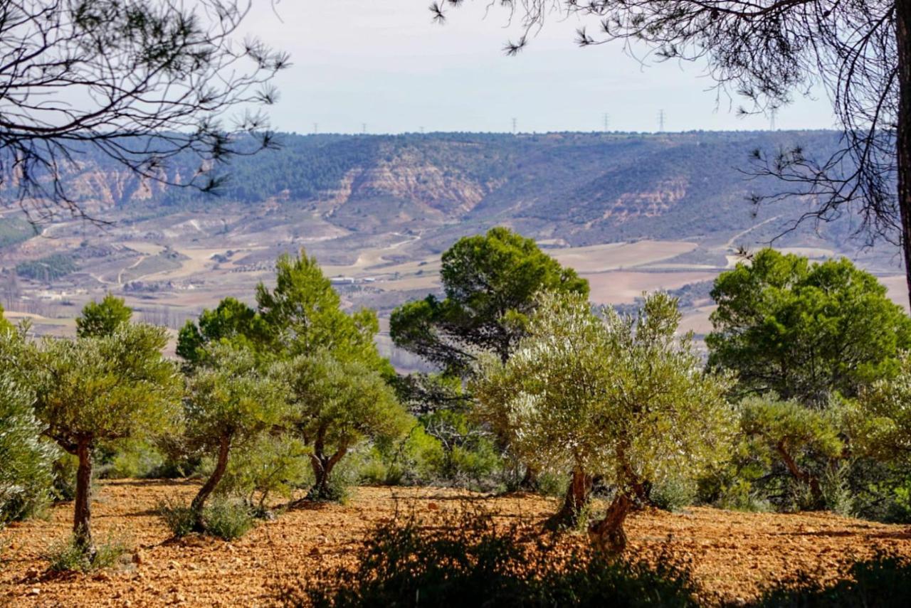 Horche De Felipe Casa Rural מראה חיצוני תמונה